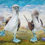 Collection BIRDS