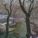 Trees and river by Victor Onyshchenko
