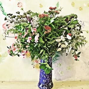 Collection Flower Arrangement - Photographs