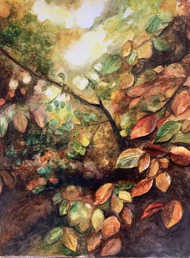Original Tree Paintings by puneeta ranjan