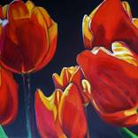 Collection Fine Art