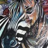 Collection Illustrations Mixed Media