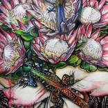 Collection Illustrations Mixed Media