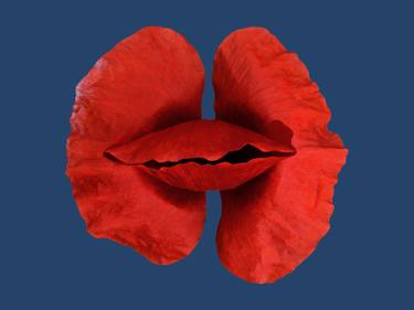Red poppie thumb