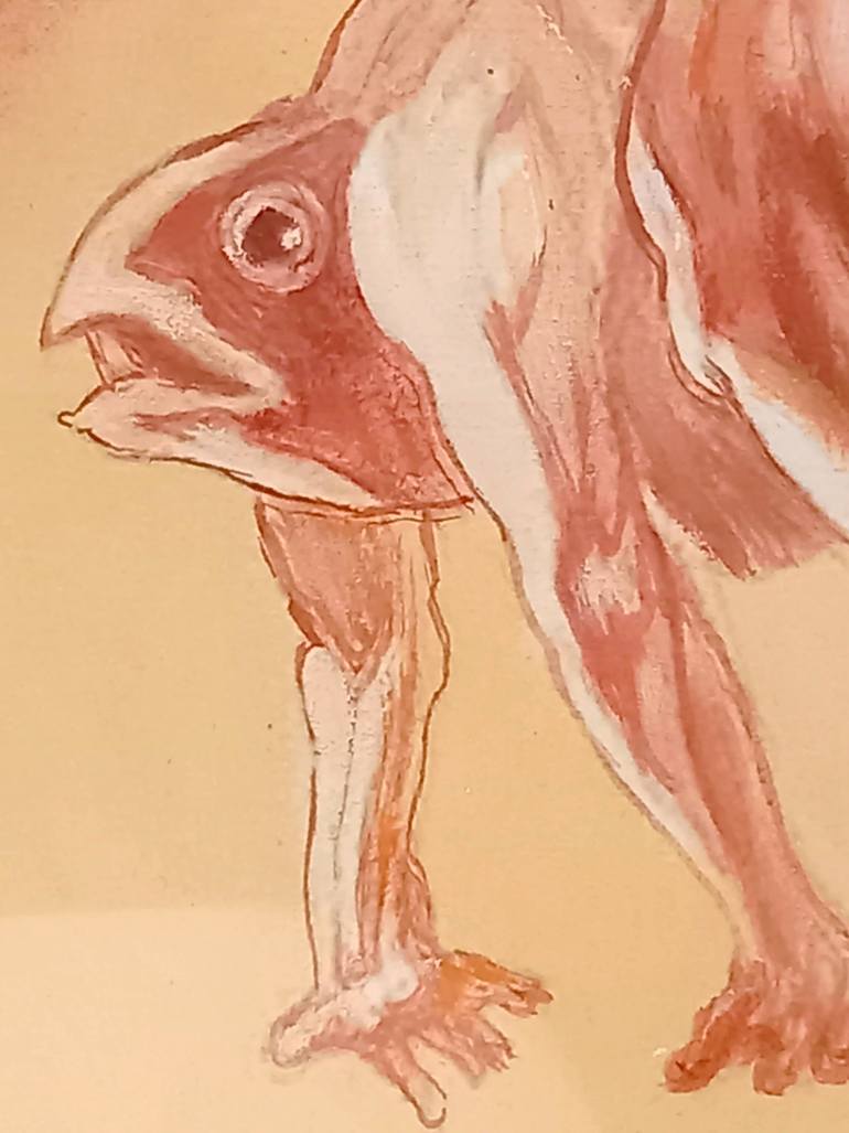 Original Expressionism Body Drawing by Fritsch Louise