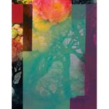 Flowers at the forest - Limited Edition 2 of 25 by Francisco Nicolas