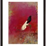 ST0052 - Limited Edition 1 of 25 by Francisco Nicolas
