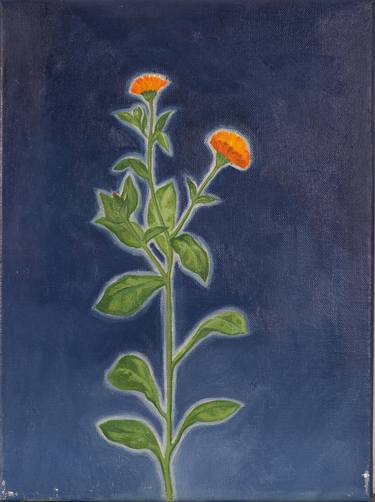 Print of Floral Paintings by Nir Vena