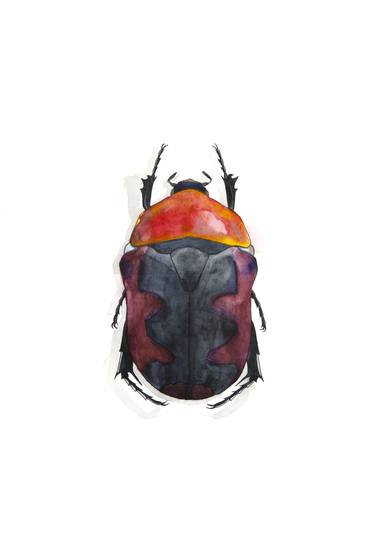 Beetle 8 thumb