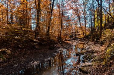 Print of Fine Art Landscape Photography by Steven Richman