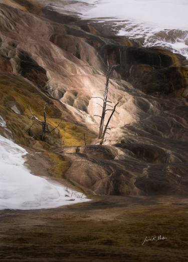 Print of Landscape Photography by Laurie Martin