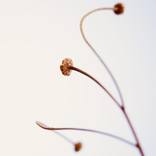 Collection Art for a Retreat