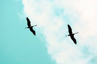 Crane(s) V | Limited Edition Fine Art Print 1 of 10 | 30 x 45 cm thumb