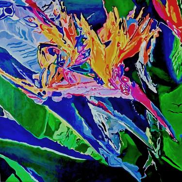 Original Abstract Expressionism Floral Paintings by Jennifer Gabbay