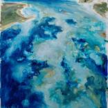 Sketch. ́’Pieuvre des mers ́2. Sardaigne. by Ann Abel Iseux