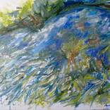 Mare. Printemps 2026. Nature studio. by Ann Abel Iseux