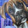 Portrait of a Boxer dog. Night lights and Eiffel Tower as background. Buildings are colored as city lights, pink, blue, purple and turquoise.