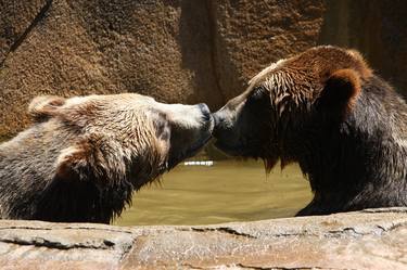 Love Ya (kissing bears) thumb