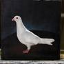 The White Dove - 14x14x1 inch (35x35x2 cm) - oil on canvas on woodboard