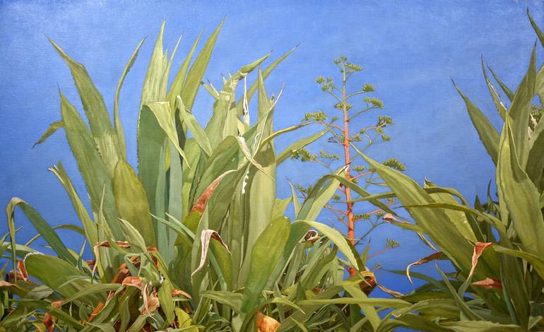 Wild Aloe Vera of Mare Monte Painting by Hun Adamoglu | Saatchi Art