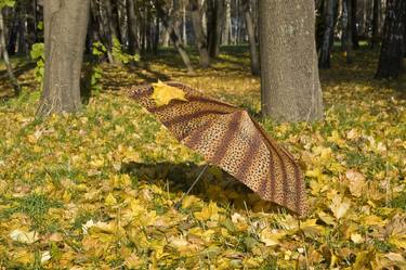 Original Photorealism Seasons Photography by Irina Afonskaya