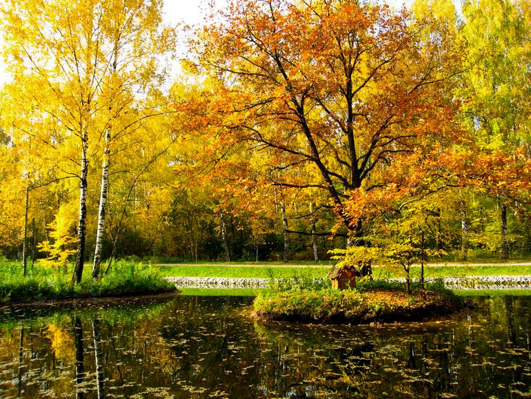Original Other Photography by Irina Afonskaya | Other Art on Canvas | Autumn landscape with two islands with yellow and red trees