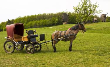 Brown horse with brown carriage thumb