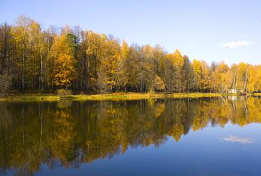 Autumn yellow forest near lake thumb