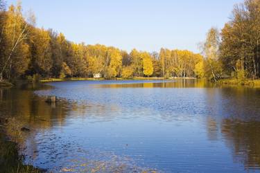 Autumn landscape with yellow forest and lake thumb