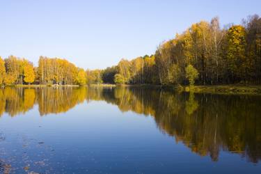 Autumn yellow forest and lake thumb