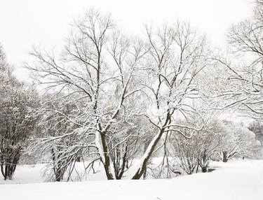 Original Seasons Photography by Irina Afonskaya