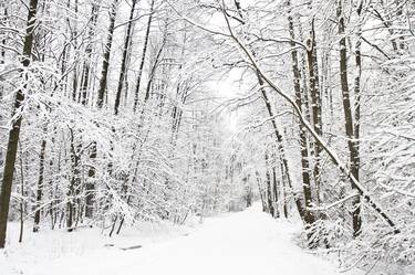 Alley in winter park thumb