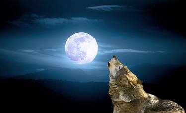 Wolf and moon thumb