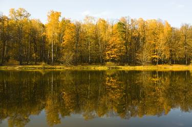 Autumn forest with reflection thumb