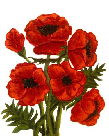 Red poppies on white thumb