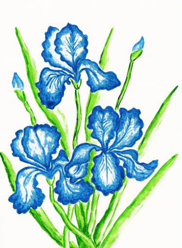 Three blue irises thumb