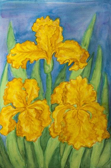 Three yellow irises thumb