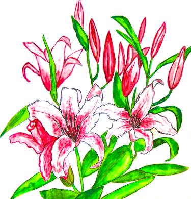 Pink lilies thumb