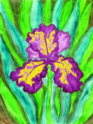 Violet-yellow iris thumb
