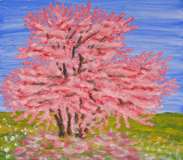 Cercis (Redbud) tree in blossom thumb