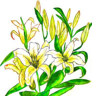 Yellow lilies thumb
