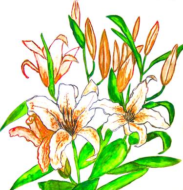 Orange lilies thumb