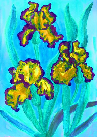Three yellow irises on blue thumb