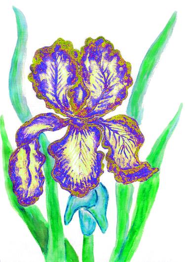 One iris blue-yellow thumb