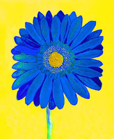 Blue gerbera on yellow thumb