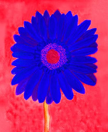 Pink gerbera on red thumb