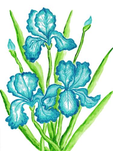 Three blue irises thumb