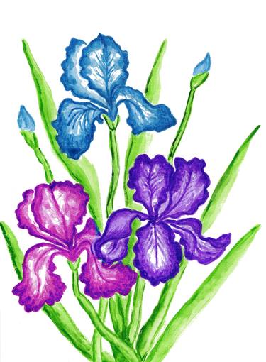 Original Floral Printmaking by Irina Afonskaya