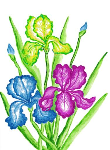 Three irises thumb