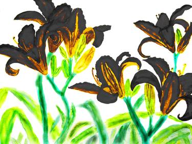 Black lilies thumb